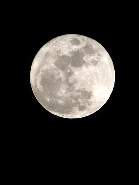 This is the first The full moon in 2015._c0039153_0152417.jpg