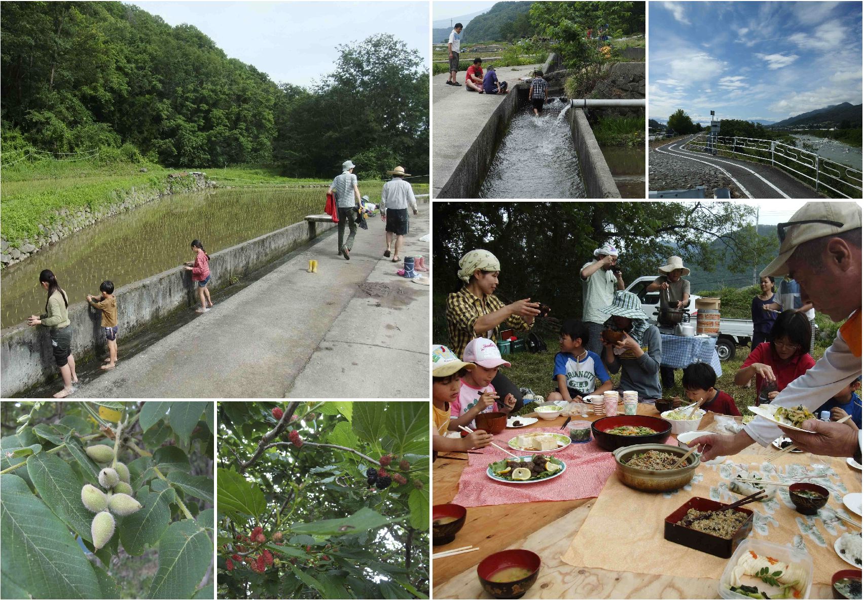 田植え と しめ飾り_c0307053_1850275.jpg