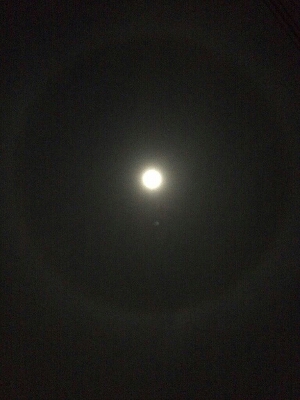 にじ_f0291062_23125673.jpg