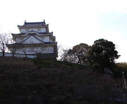 a0053063_843497.jpg