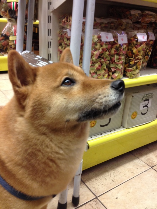 ワカメと大根のサラダ_a0136671_1652379.jpg