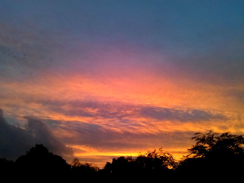 c0335691_16291773.jpg