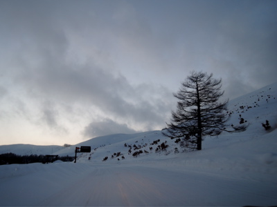 謹賀新年2015_f0232994_711240.jpg