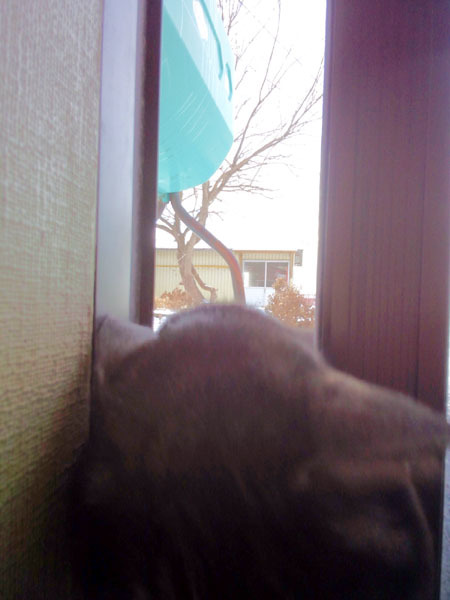 c0206596_18071714.jpg