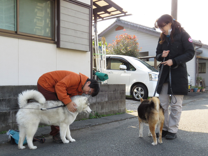 熱烈すぎて…… (^_^;)_c0049299_20274775.jpg