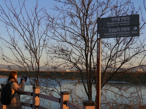 a0140305_120211.jpg