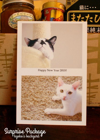 日本からの素敵なお年賀!_b0253205_06514853.jpg