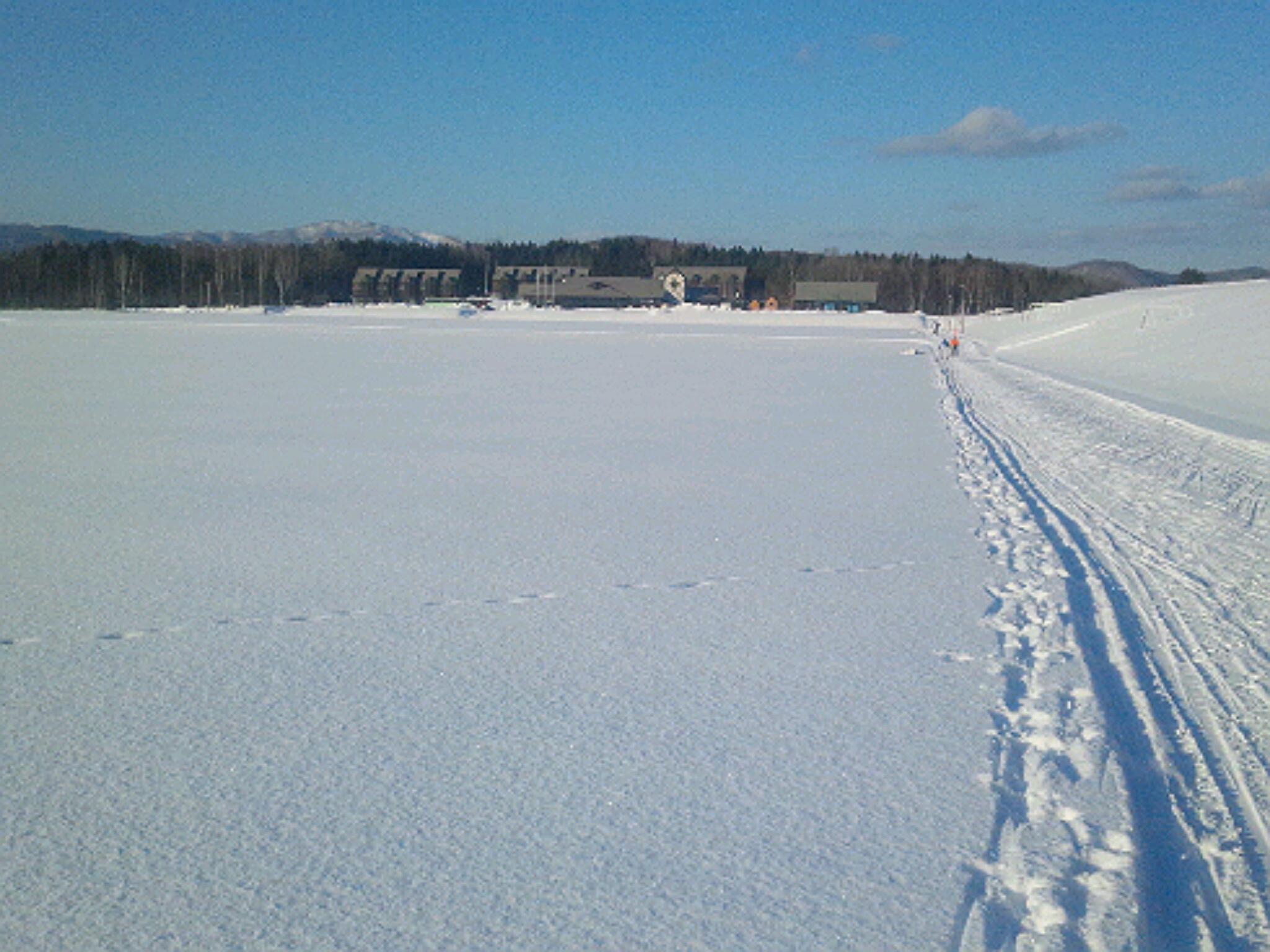 d0066506_16404081.jpg