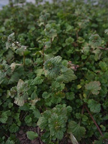 a0240108_18124470.jpg
