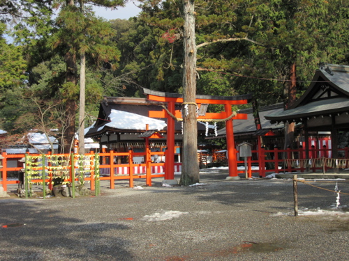 a0164011_17453039.jpg