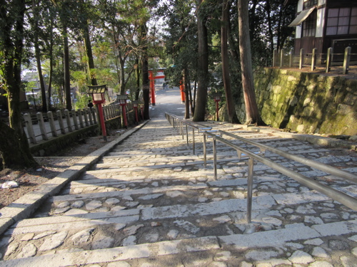 a0164011_17455529.jpg