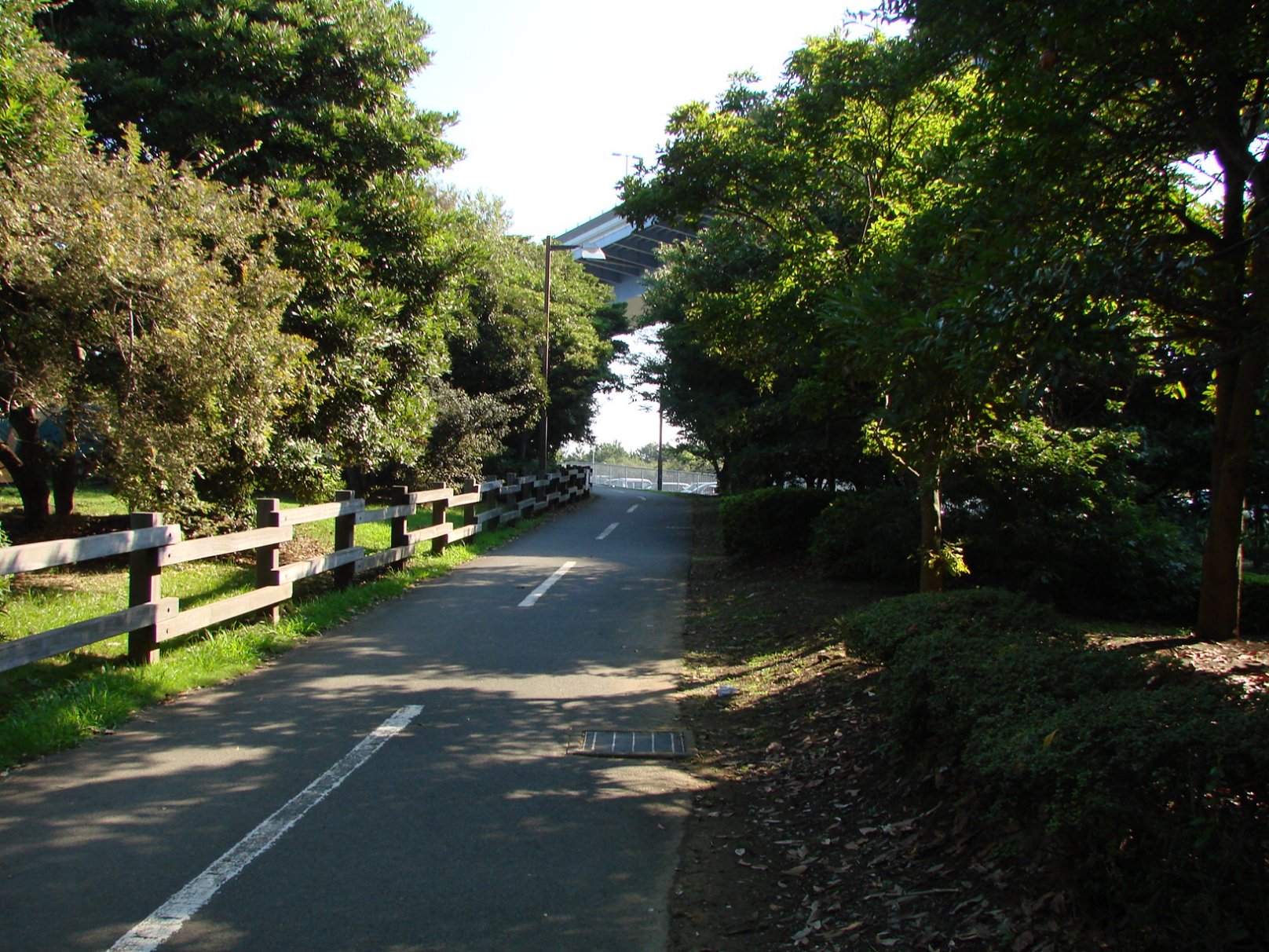 e0027711_726451.jpg