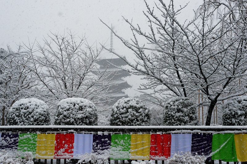 元旦雪景色!＠東寺　其の二_f0032011_19462118.jpg