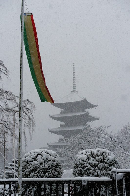 元旦雪景色!@東寺 其の二_f0032011_1946214.jpg