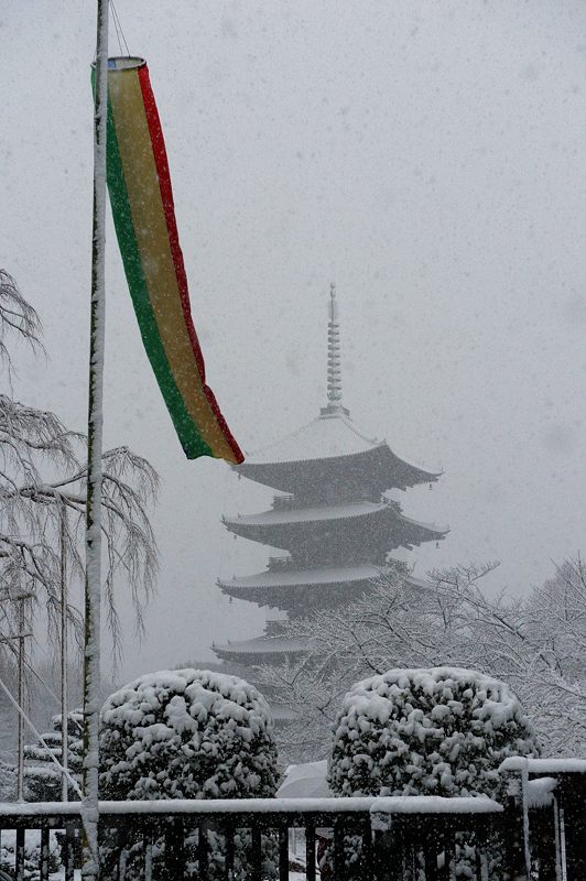 元旦雪景色!＠東寺　其の二_f0032011_1946214.jpg