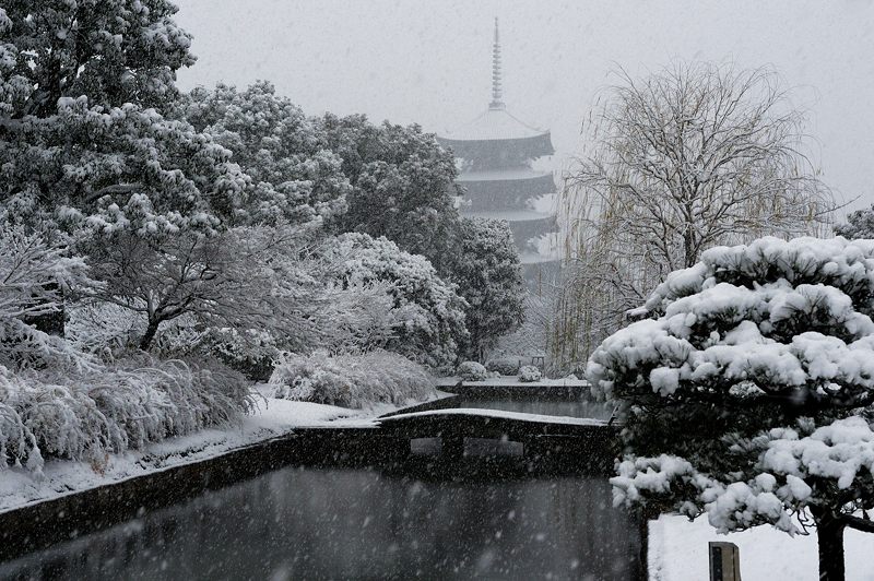 元旦雪景色!@東寺 其の二_f0032011_19463732.jpg
