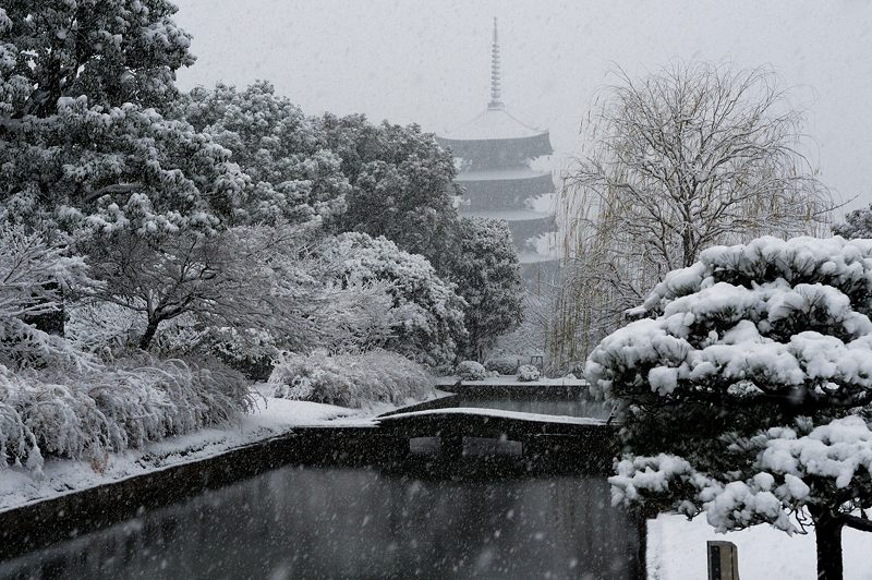 元旦雪景色!＠東寺　其の二_f0032011_19463732.jpg