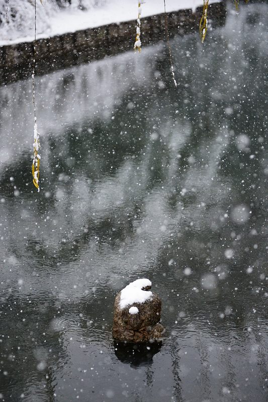 元旦雪景色!@東寺 其の二_f0032011_19464959.jpg