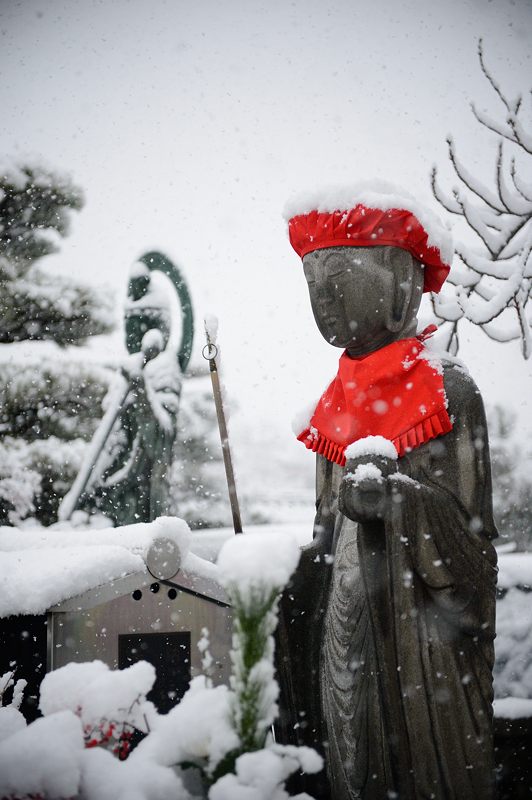 元旦雪景色!＠東寺　其の二_f0032011_19475821.jpg