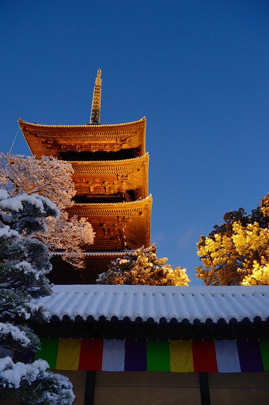 元旦雪景色!@東寺 其の二_f0032011_19511510.jpg