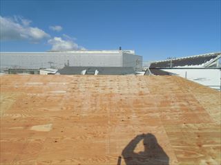 b0184723_2241297.jpg