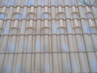 b0184723_2461226.jpg