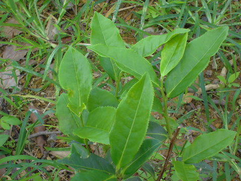 a0223037_17565077.jpg
