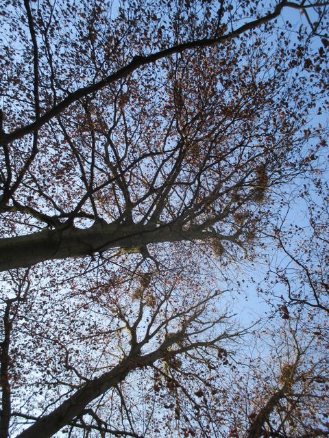 c0232541_2241528.jpg
