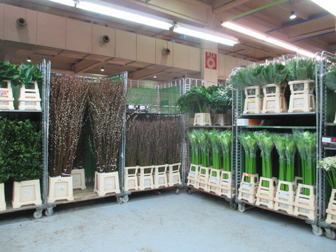 c0232541_226627.jpg