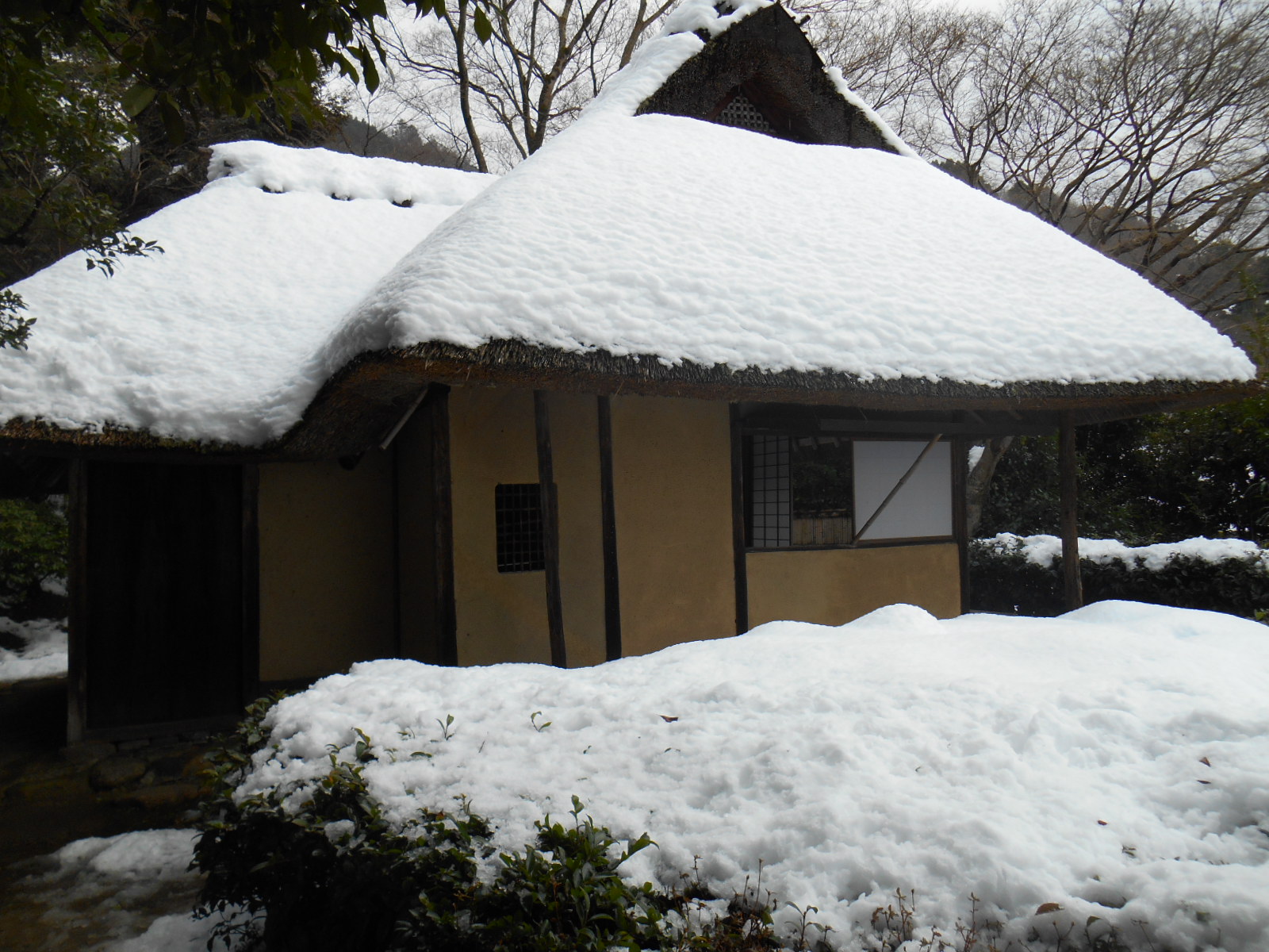 雪の京都　その８　金福寺の２_e0297347_16473479.jpg