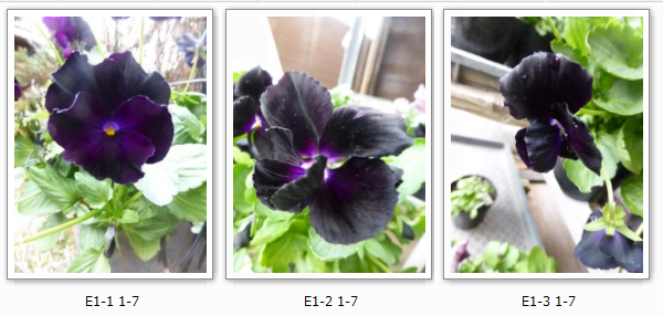 b0318759_19202519.png