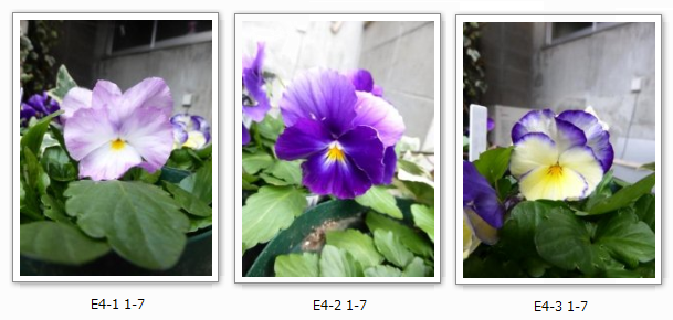 b0318759_19213342.png
