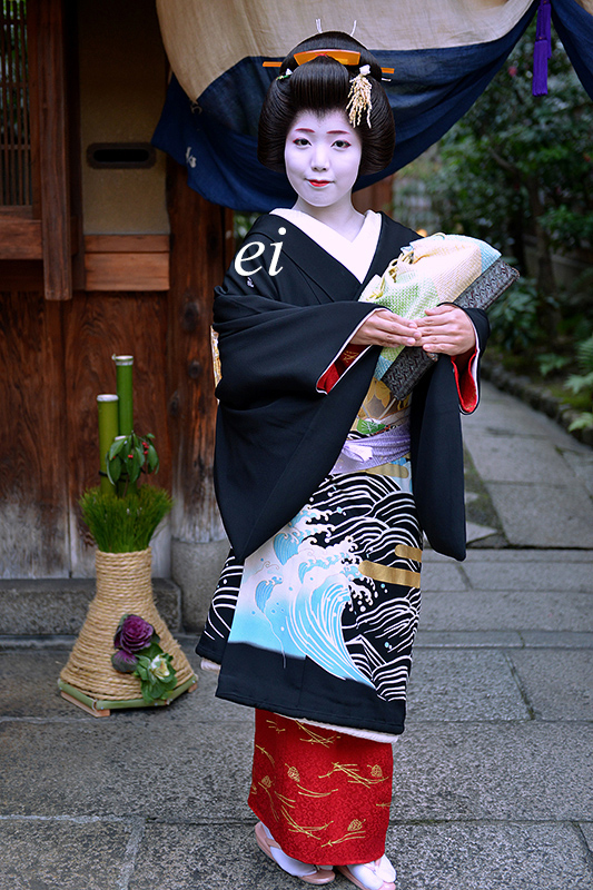 舞妓 大型 芸妓 京都 祇園 着物 ポスター 額装 舞妓さん アート 花見