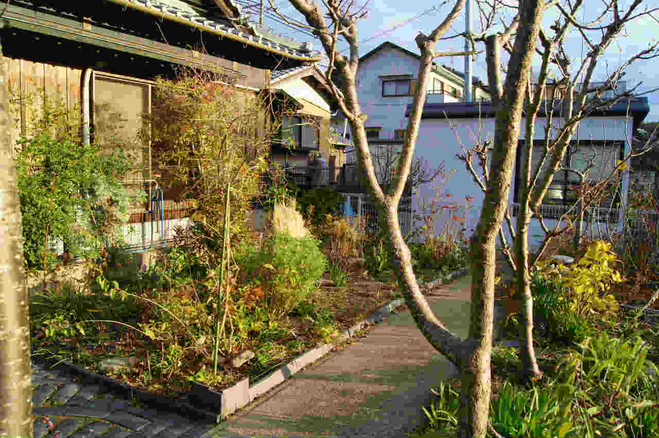 e0181373_18461471.jpg