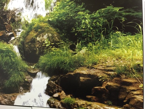 d0182179_17362491.jpg