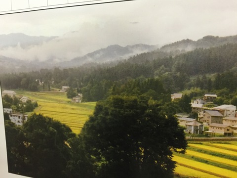 d0182179_17364148.jpg