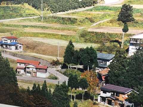 d0182179_17375824.jpg