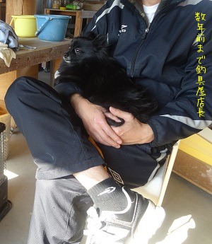 トライアル犬_d0195183_0231317.jpg