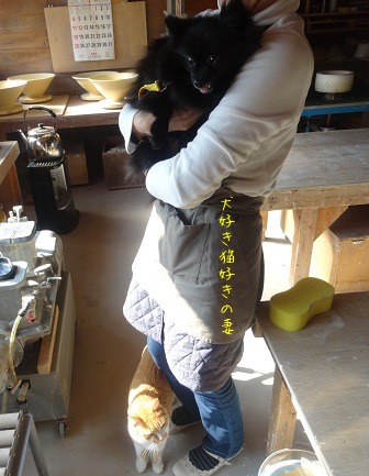 トライアル犬_d0195183_0251644.jpg