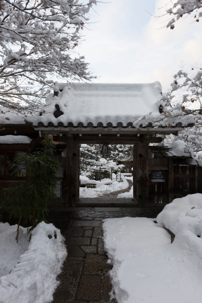 宝泉院_e0051888_227116.jpg