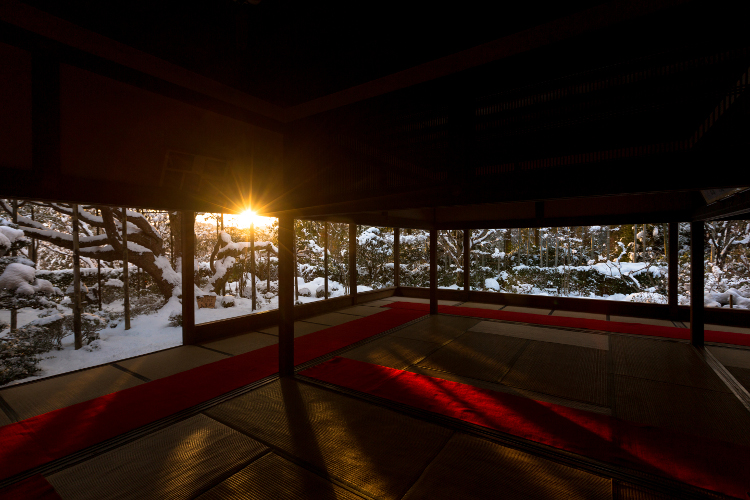 宝泉院_e0051888_2274850.jpg