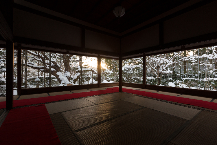 宝泉院_e0051888_22807.jpg