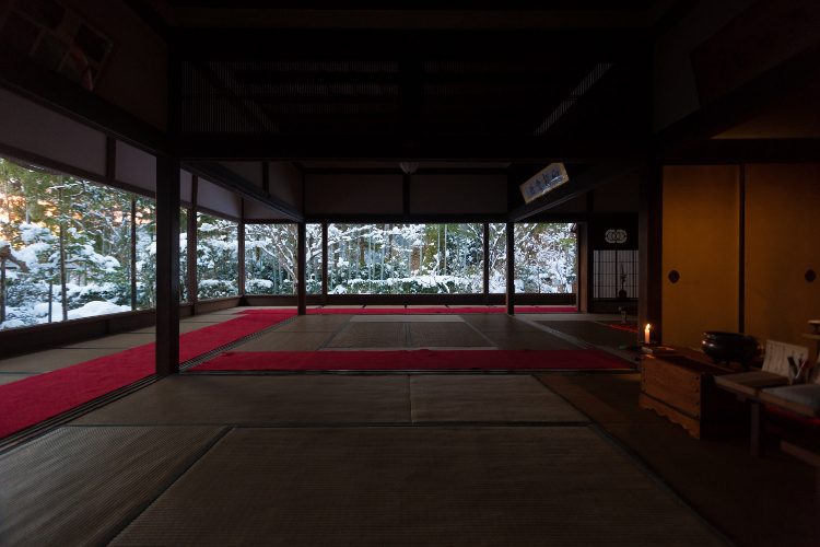 宝泉院_e0051888_2284198.jpg