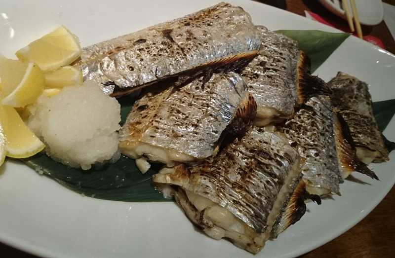 おやじたちの冬休み その8 2015 ★ 松山ジギング船 Kaisei ★_f0106190_23555487.jpg