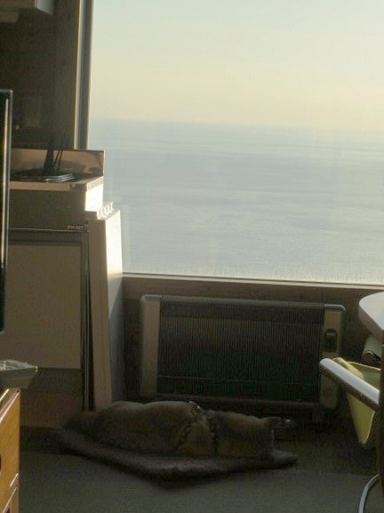 e0025596_2331584.jpg