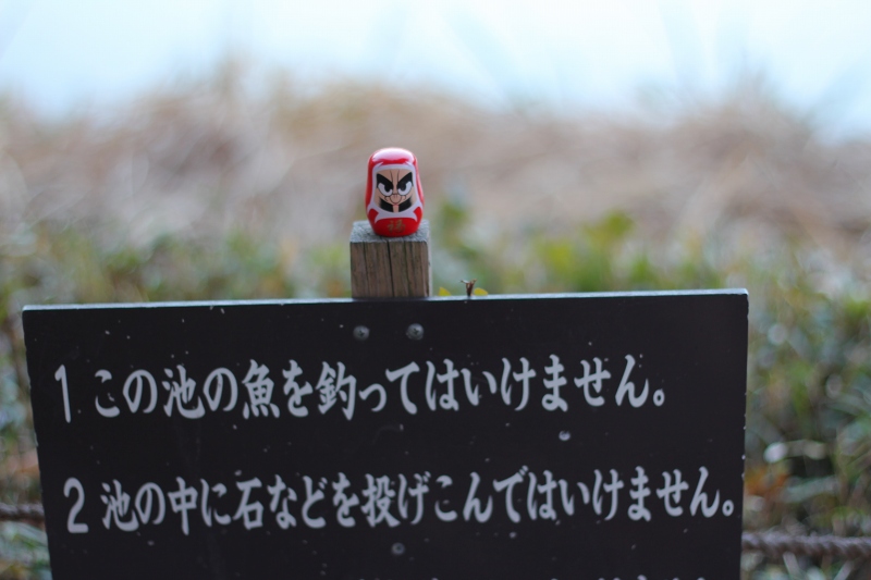 c0204298_1222937.jpg