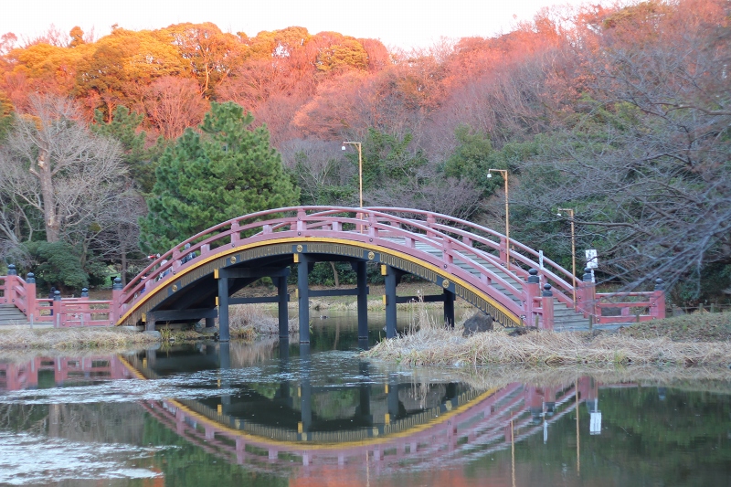 c0204298_12232395.jpg