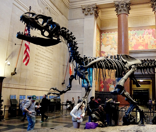 アメリカ自然史博物館前で見かけた恐竜のクリスマスツリー_b0007805_8521663.jpg