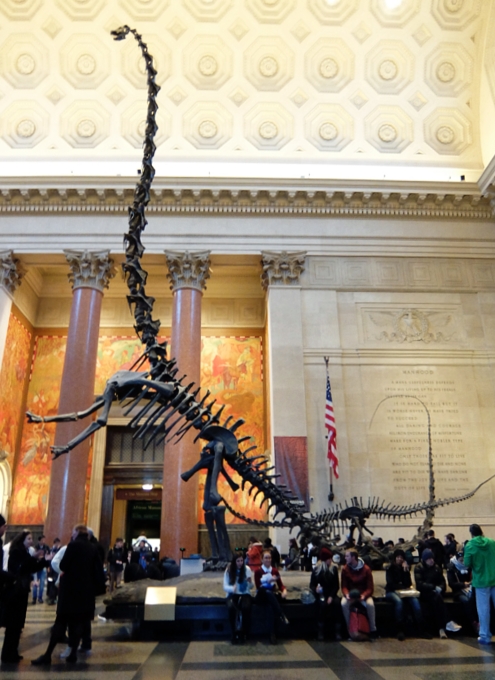 アメリカ自然史博物館前で見かけた恐竜のクリスマスツリー_b0007805_852510.jpg