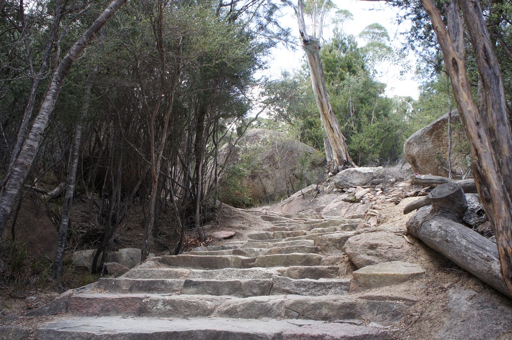 b0112909_1437710.jpg